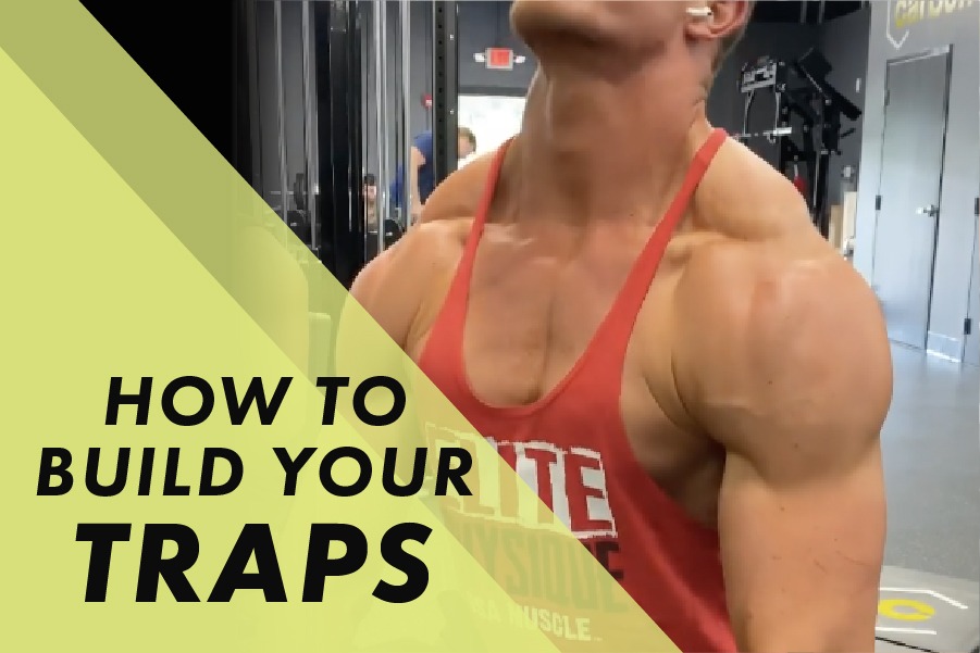 How to Build Your Traps with Josh Bowmar: