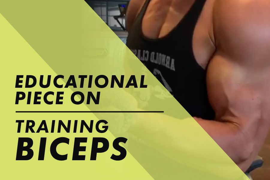 Bicep training education with Josh Bowmar: