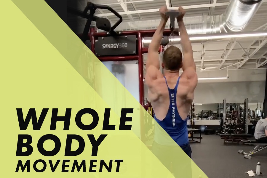 Whole Body Movement with Josh Bowmar: