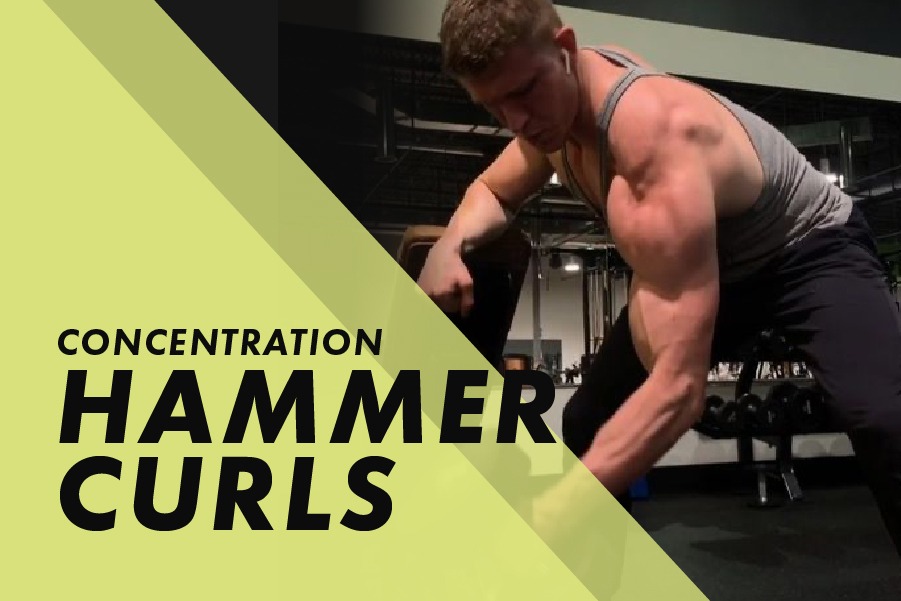 Concentration hammer curls with Josh Bowmar: